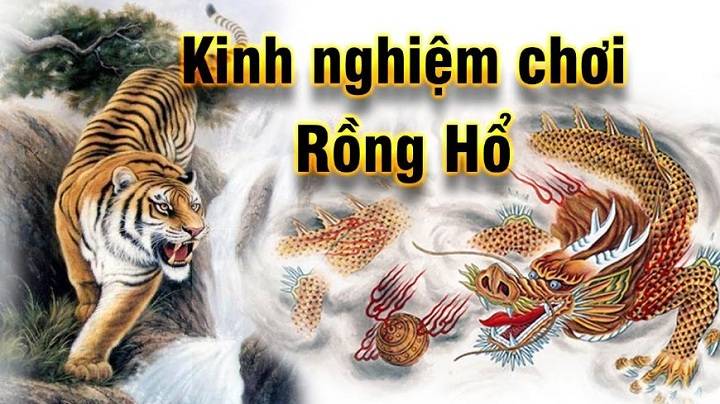 kinh nghiem choi rong ho